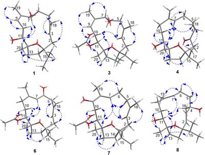 Sacraoxides A–G, Bioactive Cembranoids from Gum Resin of Boswellia sacra